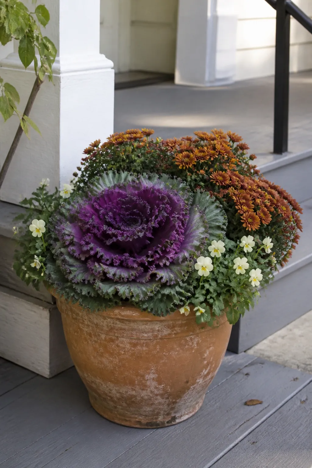 Ornamental kale and seasonal flowers in an autumn porch pot