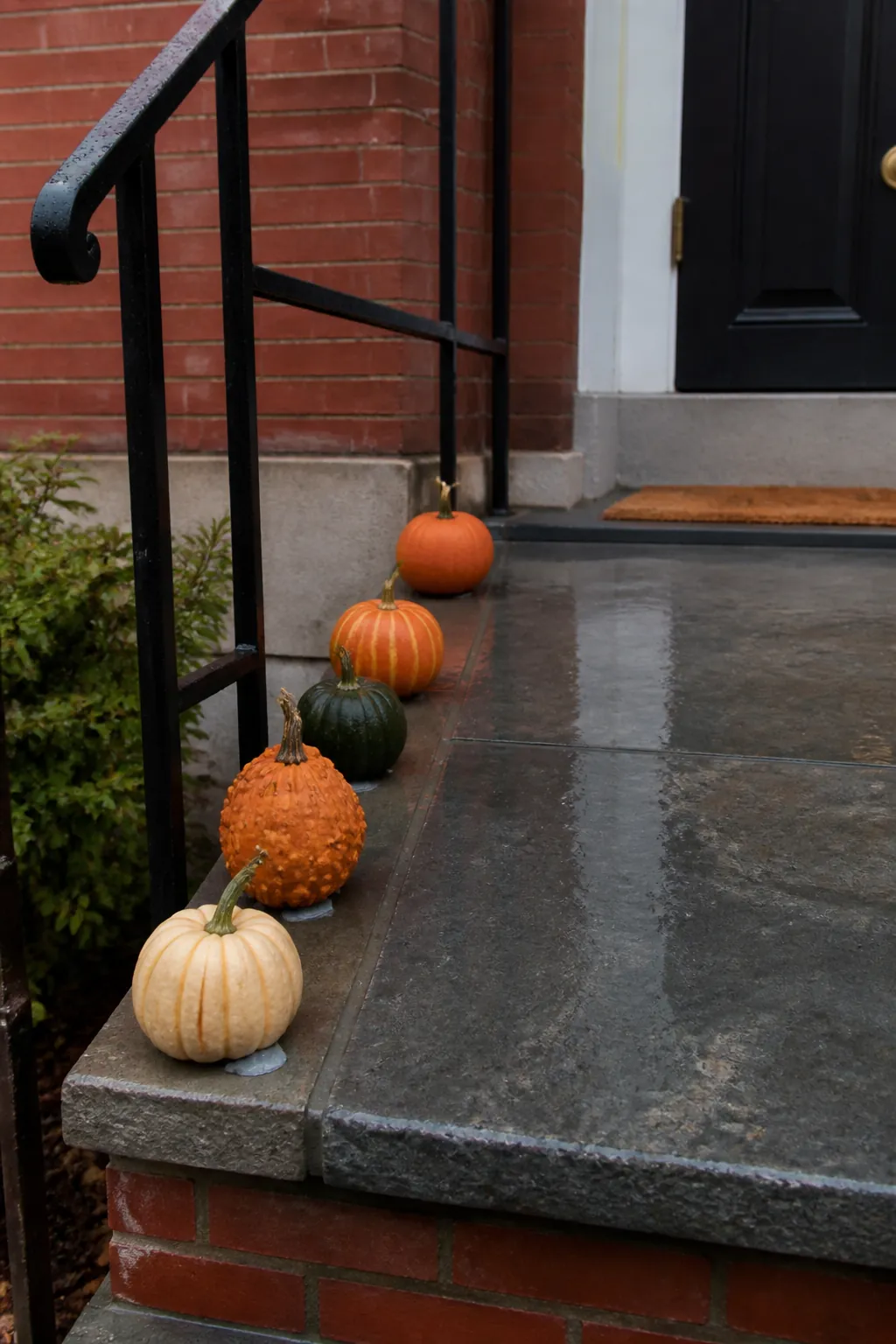 Mini pumpkins aligned along the outside edge of a porch step
