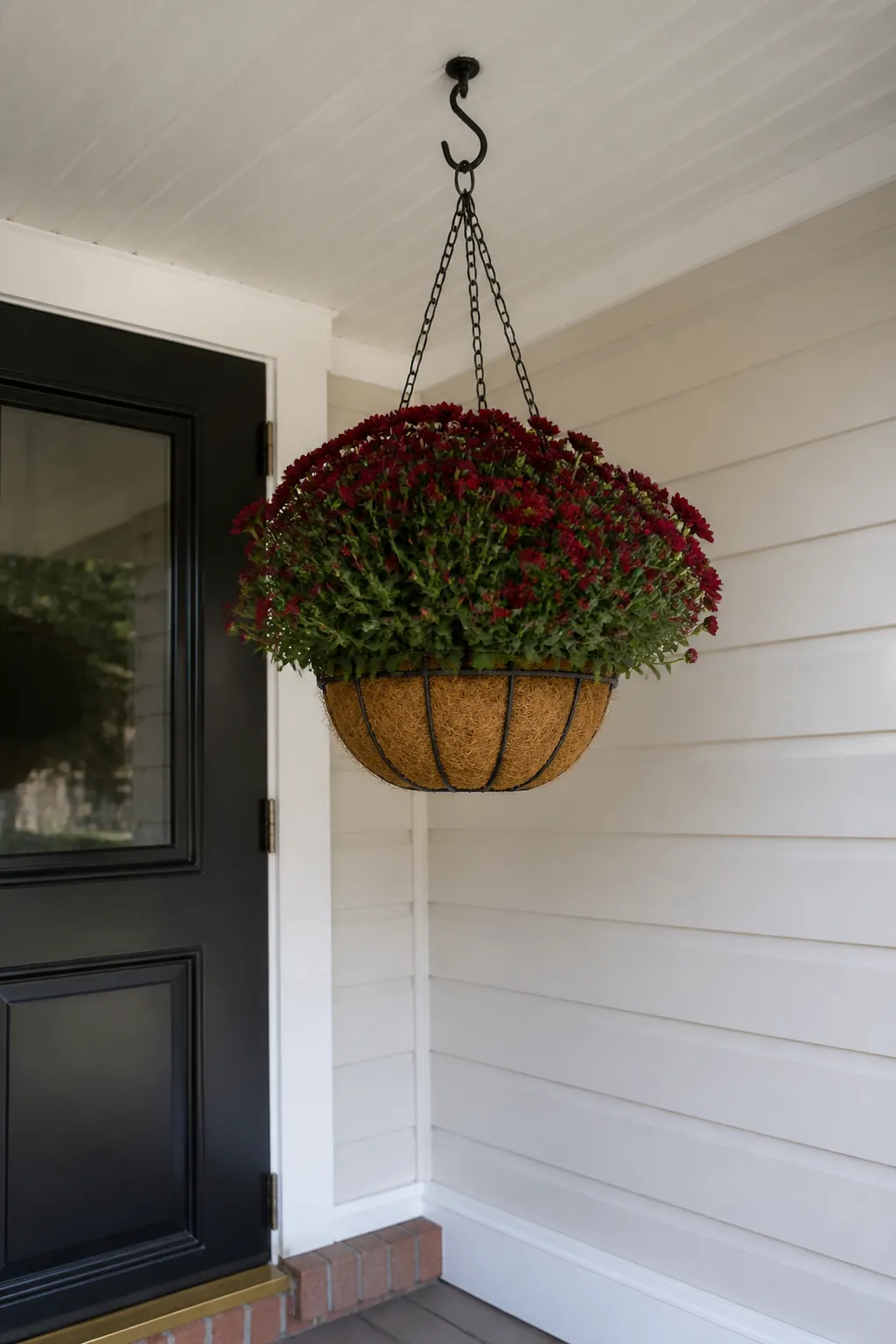 Small hanging mum basket adding color above a compact porch