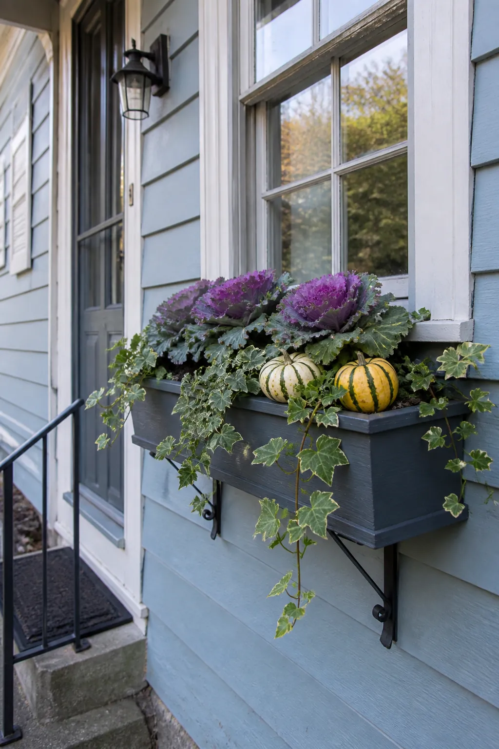 Autumn window box with kale, ivy, and small gourds