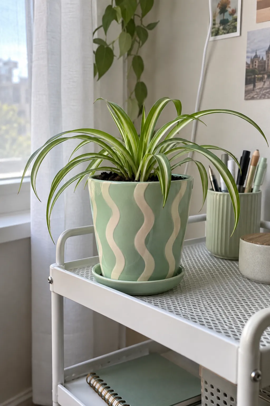 A mint green tapered pot with loose cream vertical wiggles and a young spider plant