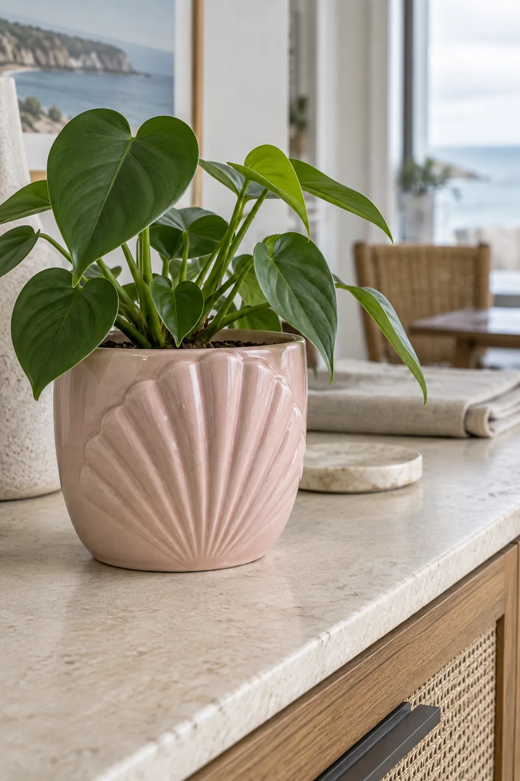 A shell pink glazed pot with a broad fan shaped relief on its front, holding a small compact philodendron