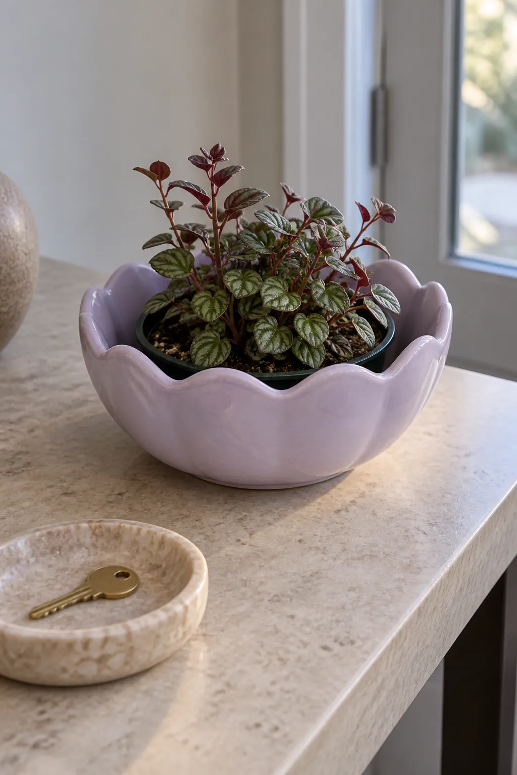Pale lilac scalloped ceramic bowl holding a shallow nursery pot and compact foliage in a wide limestone topped console in a small apartment hallway beside glazing