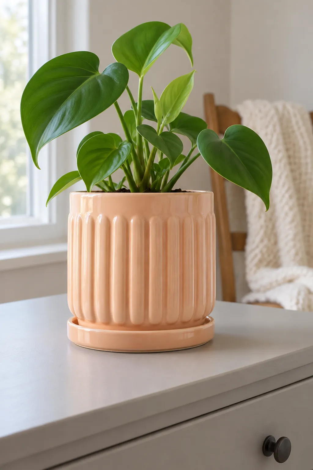 Peach glazed ribbed ceramic planter with a compact green philodendron in a bedroom dresser with a matte pale grey top