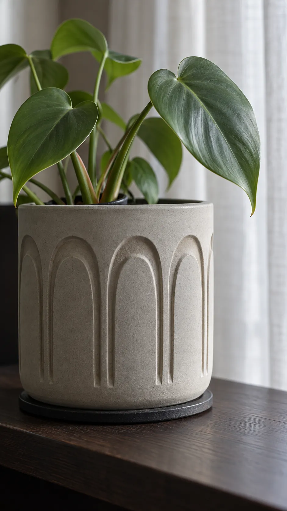 a warm grey stoneware pot carved with shallow arches and a small philodendron in a low living room shelf made of dark stained wood