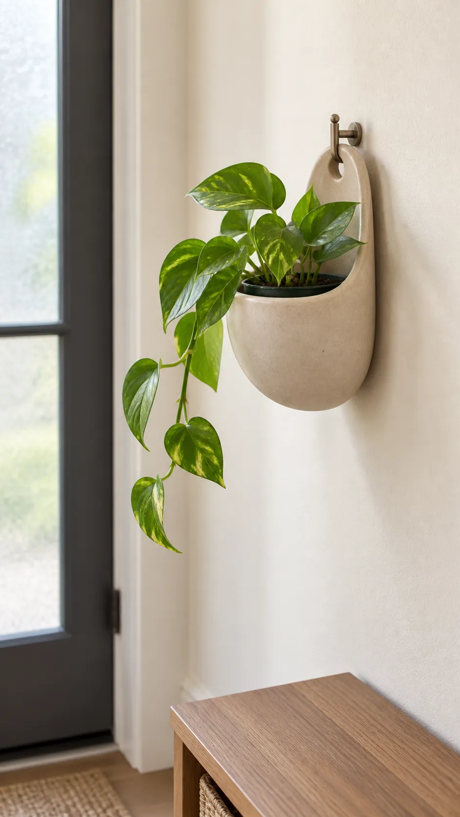 a pale clay ceramic wall pocket with a compact trailing pothos in a narrow bright entry alcove with a smooth cream painted wall