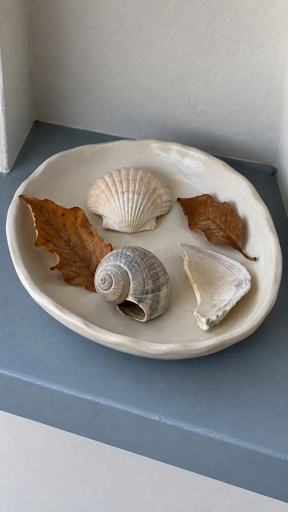 A small shell collection with autumn leaves for coastal fall decor