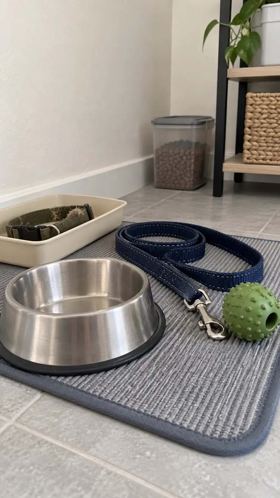 Pet supplies that no longer suit your animal during a small apartment reset