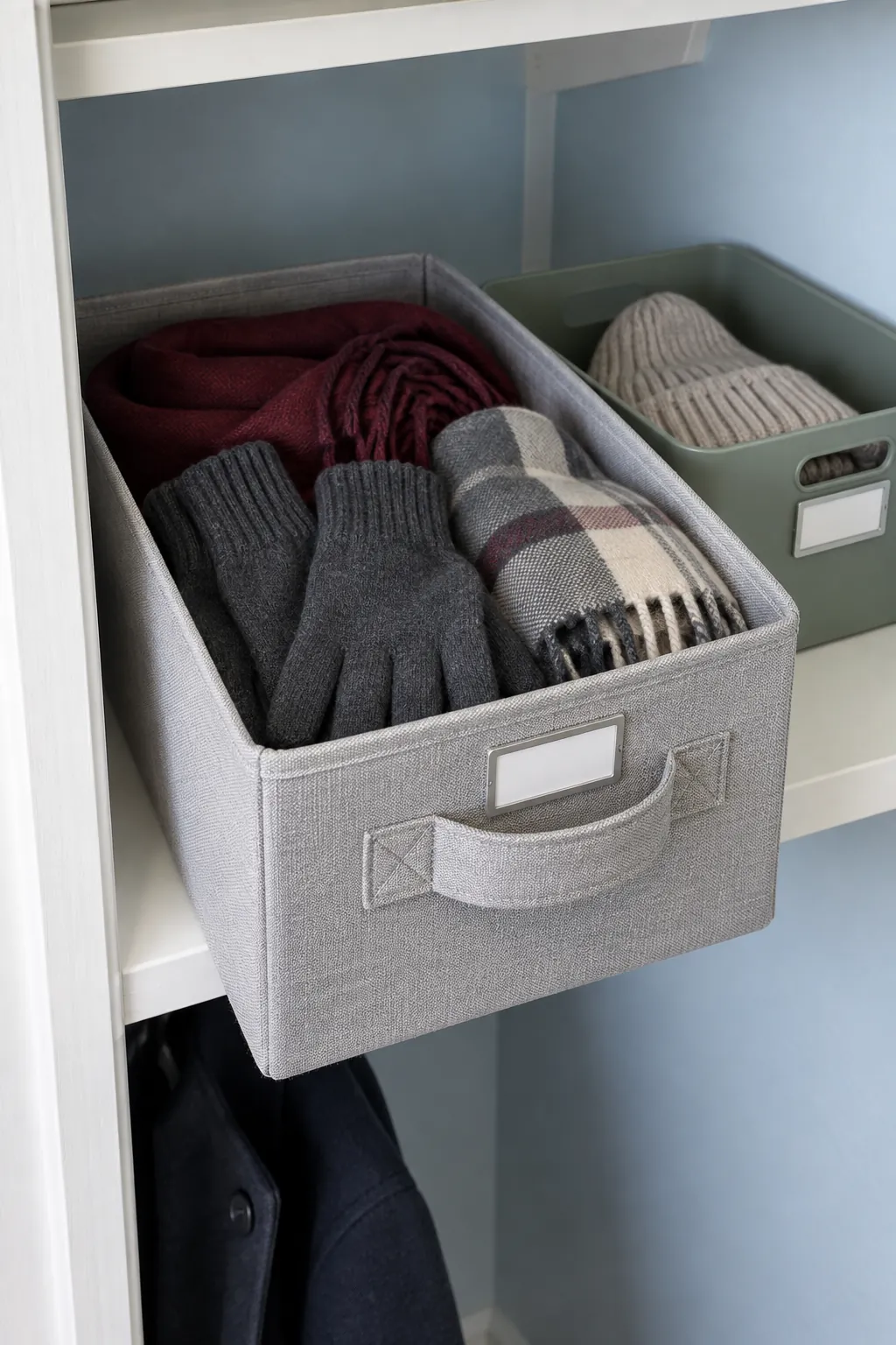 Handled accessory bins on a deep closet shelf