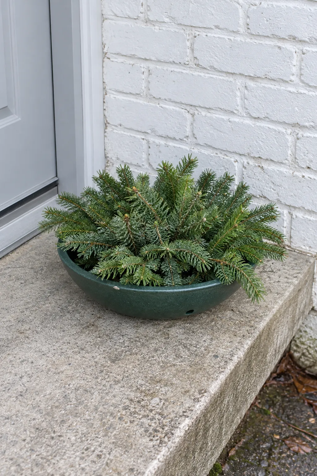 A drained bowl of evergreen cuttings for a rain exposed Christmas entrance